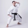 Tokaido Karate Heavyweight Kata gi - Yakudo, Front