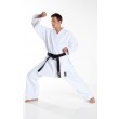 Tokaido Kata Master Tsunami Silver 