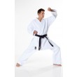 Tokaido Kata Master Tsunami Silver 