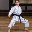 Tokaido Karate Heavyweight Kata Gi - Yakudo, Main